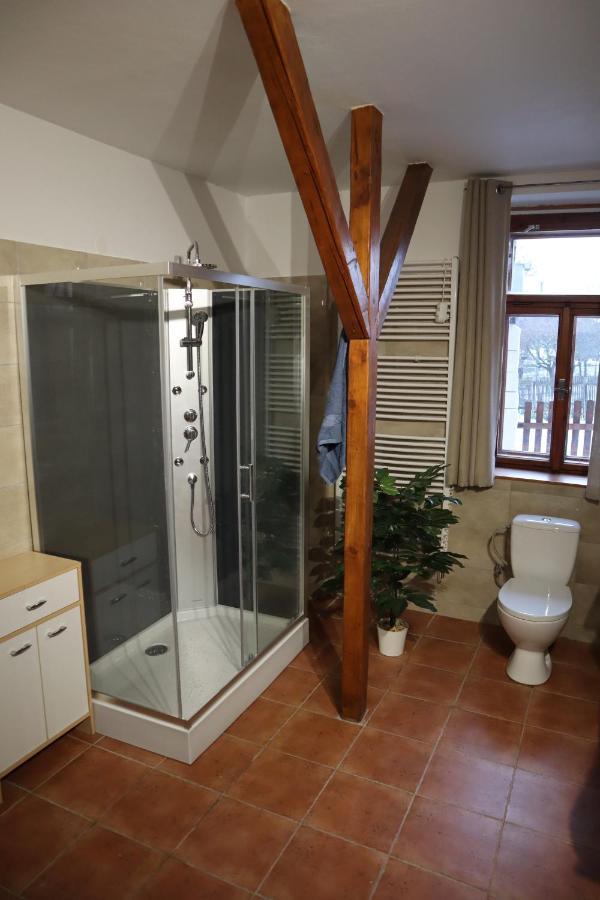 Villa Prazdninovy Dum Jirkov Zelezny Brod Esterno foto